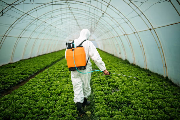 Best Pest Inspection Near Me  in Brundidge, AL