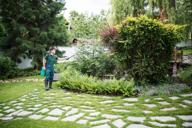 Best Affordable Pest Control Services  in Brundidge, AL