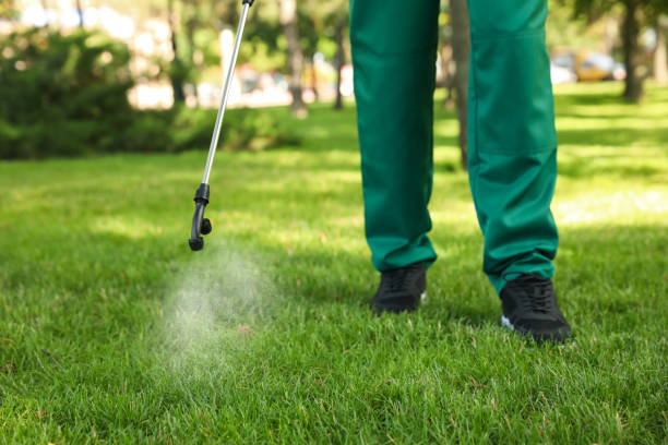 Best Termite Control Services  in Brundidge, AL