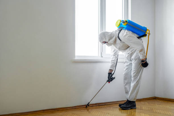Pest Prevention Services in Brundidge, AL