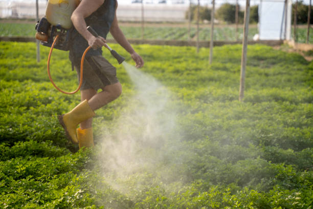 Best Local Pest Control Services  in Brundidge, AL