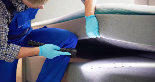 Best Pest Control Near Me  in Brundidge, AL