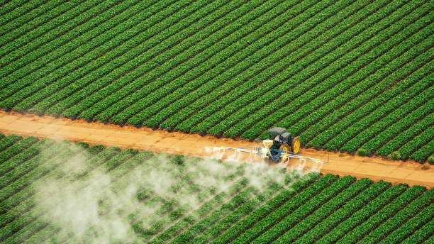 Best Local Pest Control Services  in Brundidge, AL