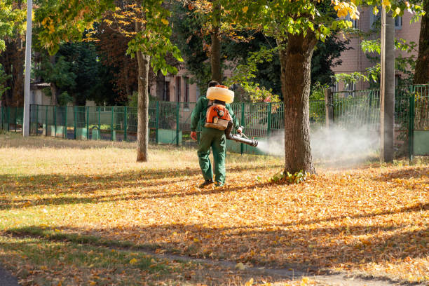 Best Cockroach Control Services  in Brundidge, AL