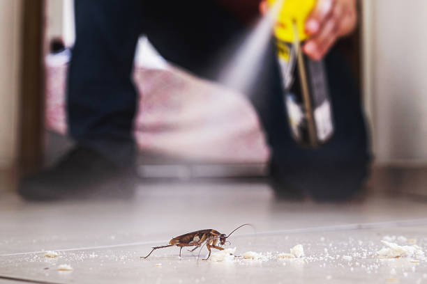 Best Pest Prevention Services  in Brundidge, AL