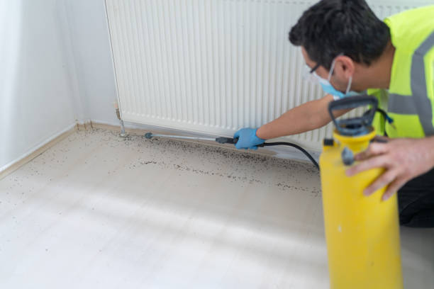 Best Pest Removal Services  in Brundidge, AL