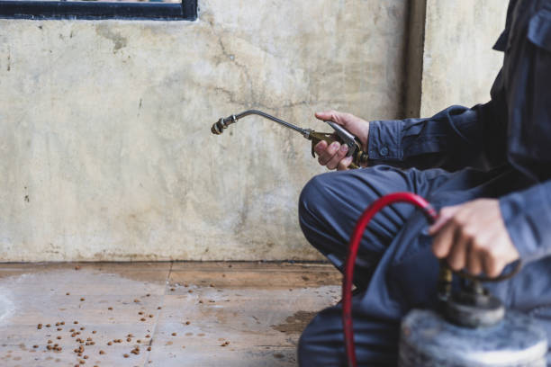 Best Best Pest Control Companies  in Brundidge, AL