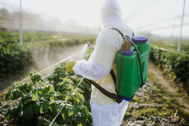 Best Best Pest Control Companies  in Brundidge, AL